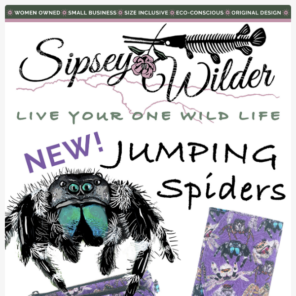 💜JUMPING SPIDERS! 💜