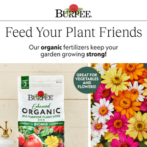 Organic Food for Your Plant Friends!
