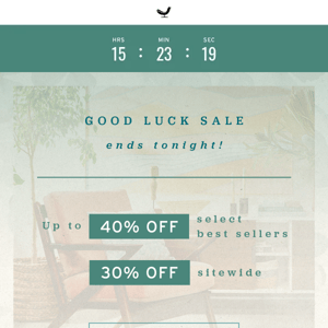 Hurry - Good Luck Sale Ends Tonight!