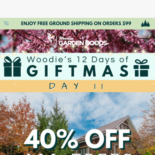 40% OFF ALL TREES TODAY ONLY!🌳🌲😍