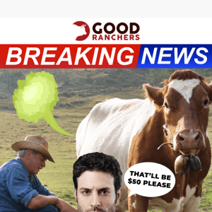 Breaking News: New Zealand Taxes Cow Farts 💨