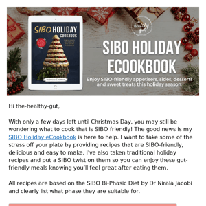 Get your SIBO Holiday eCookbook today
