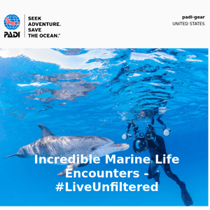 Incredible Marine Life Encounters - #LiveUnfiltered