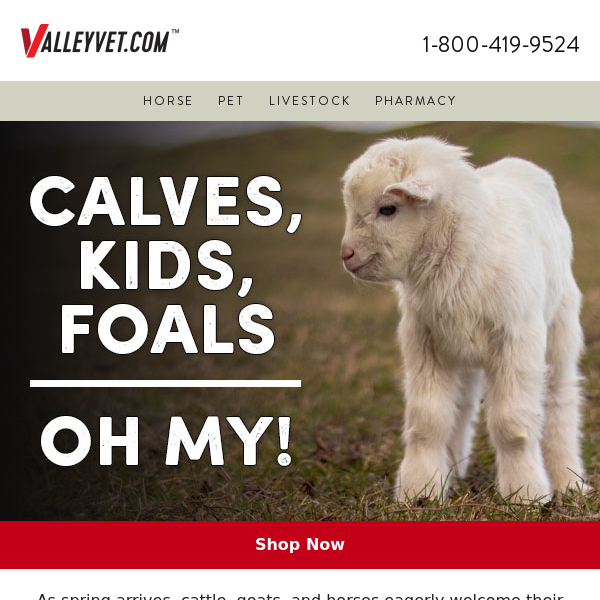 Calves, Kids, Foals - Oh My!