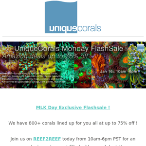 Exclusive MLK Day Flashsale! We have over 800+ corals at up to 75% off lined up for you all! Join us on R2R now!  ﻿ ﻿ 　　