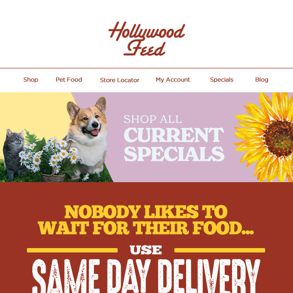 Home, Hollywood Feed