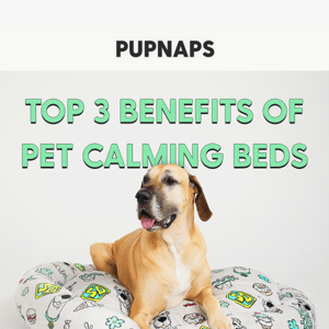 The top 3 benefits of calming beds