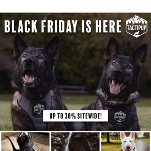 Our BIGGEST Sale of the year! 🐾 🦴