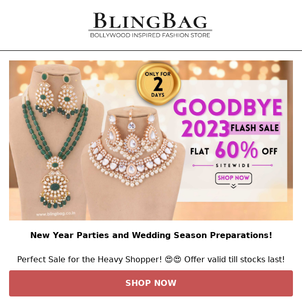 Bling Bag, Goodbye 2023 Flash Sale!