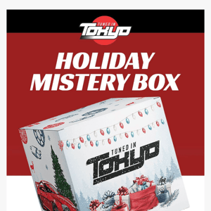 Shop the Holiday Mystery Box! ⁉️