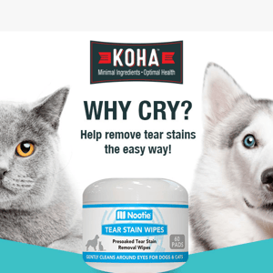 40% Off Tear Stain Wipes for Cats & Dogs