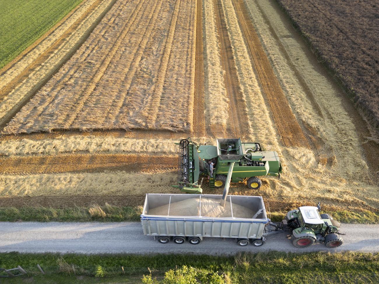 Les négociants suisses de matières premières achètent, vendent et financent le transport mondial de ressources diverses allant du pétrole, aux métaux en passant par les produits agricoles, comme l'avoine ici.