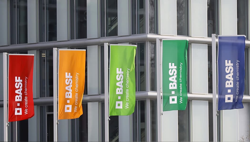 L'activité peinture, qui opère presque uniquement au Brésil, a généré l'an dernier un chiffre d'affaires d'environ 525 millions, garantit le BASF.