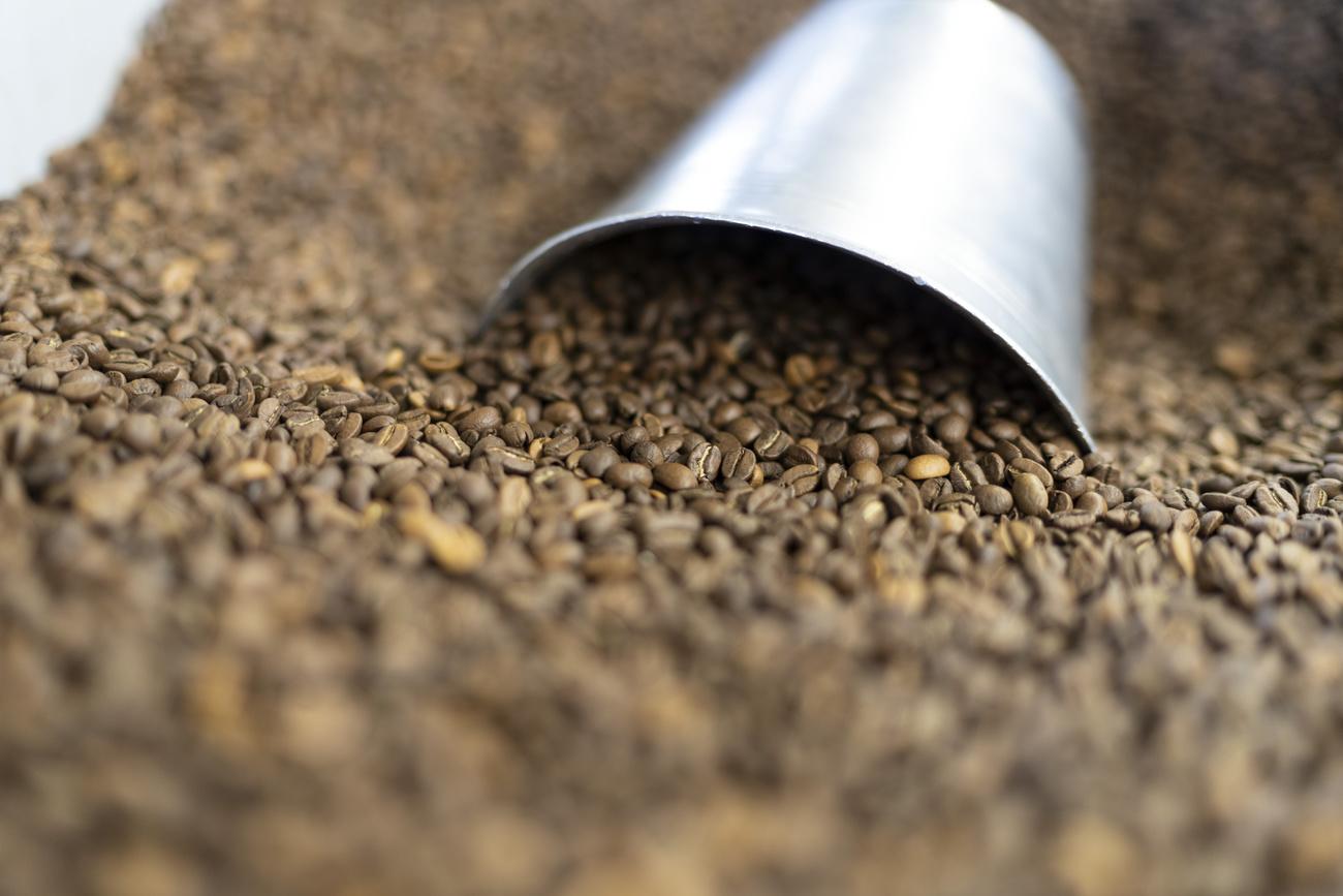 This special edition tells the story of four raw materials that are essential to our daily lives: Wheat, coffee, LNG and copper. In other words, commodities that should continue to be mined despite the challenges posed by global warming and geopolitical constraints.