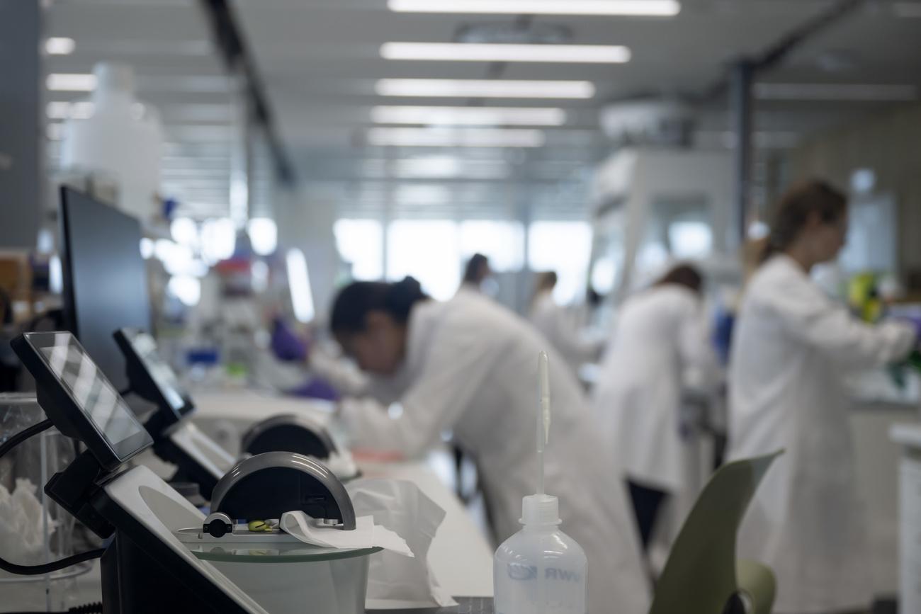 Les activités scientifiques et techniques se montrent optimistes dans leurs perspectives d'emploi.
