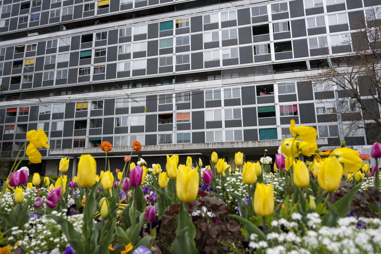 Le bénéfice net de l'entreprise spécialisée dans l'immobilier en zone urbaine a été pratiquement réduit à néant (0,7 million de francs), alors qu'il avait atteint 28,5 millions en 2022. 