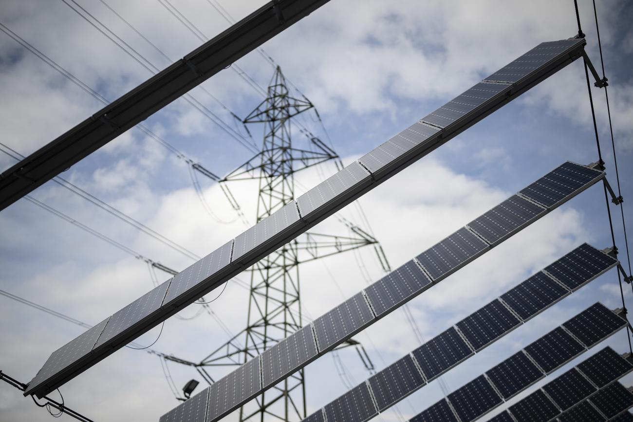 La SES plaide pour le développement des énergies renouvelables pour renforcer l'autonomie énergétique du pays.