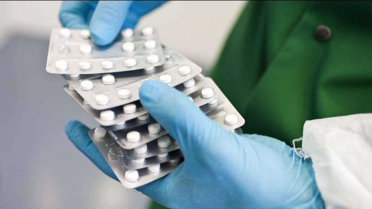 En progression de 11,8%, les produits chimiques et pharmaceutiques ont contribué à hauteur de 55% aux exportations totales. 