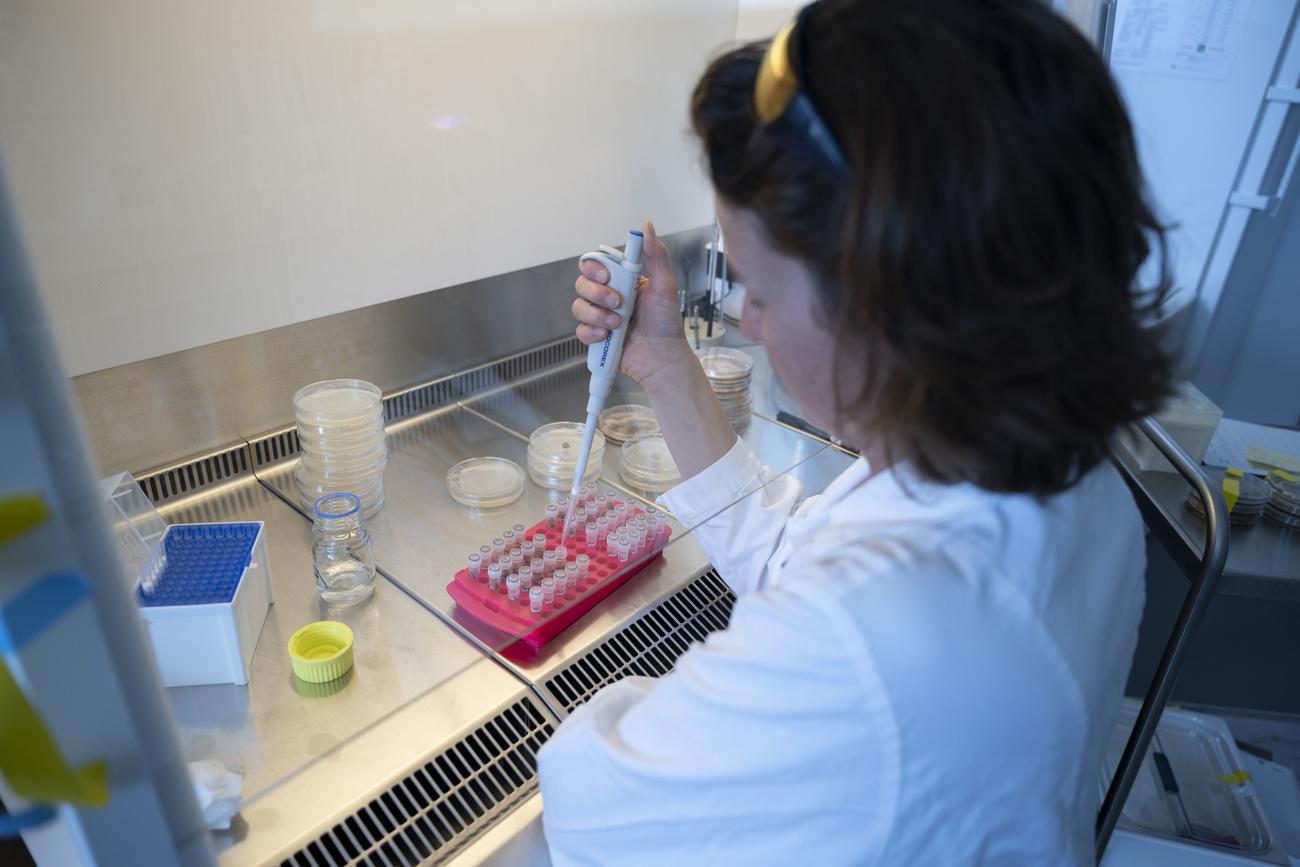 Relief Therapeutics veut écouler aux Etats-Unis sa gamme de traitements contre la phénylcétonurie.