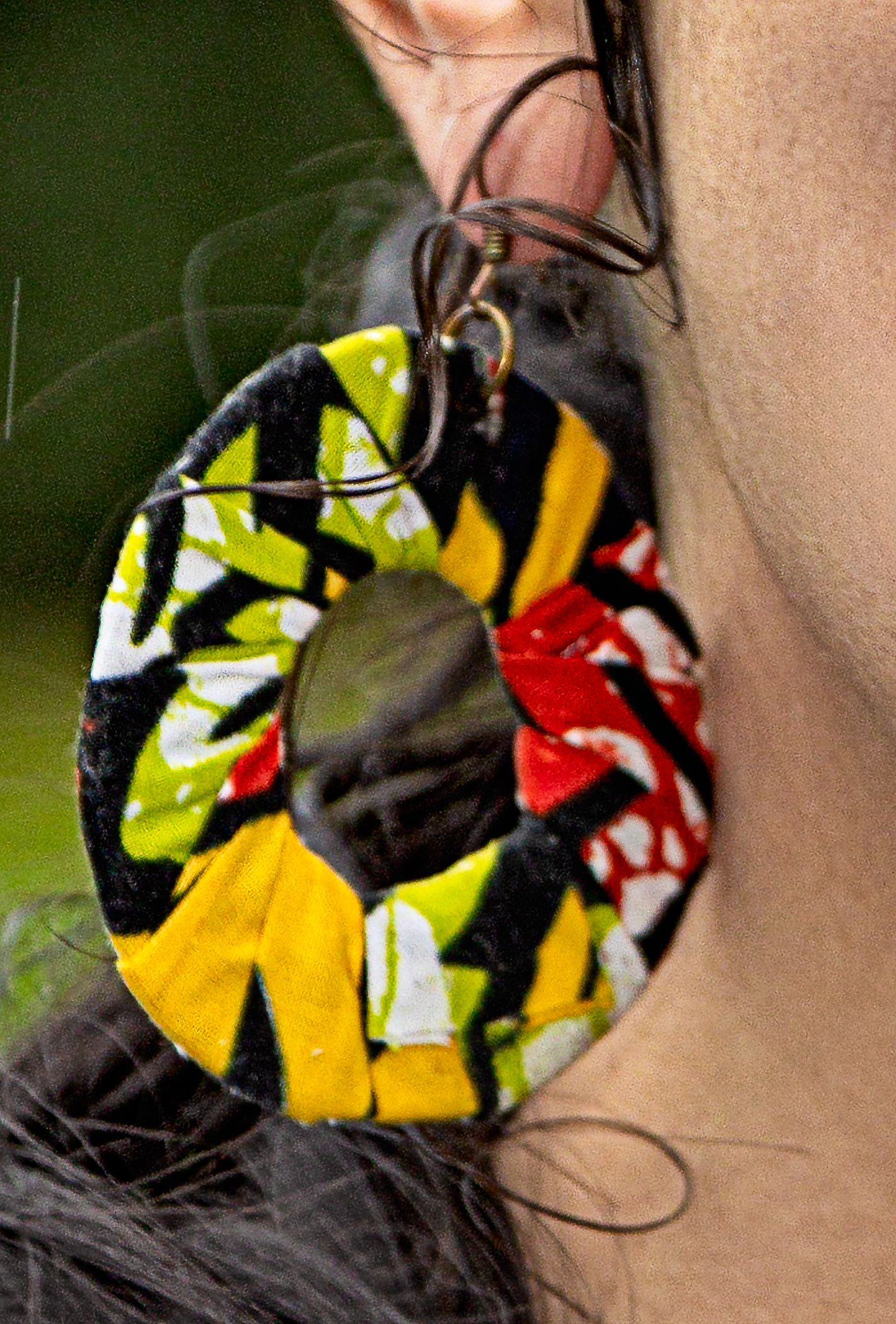 The OMA Earings image