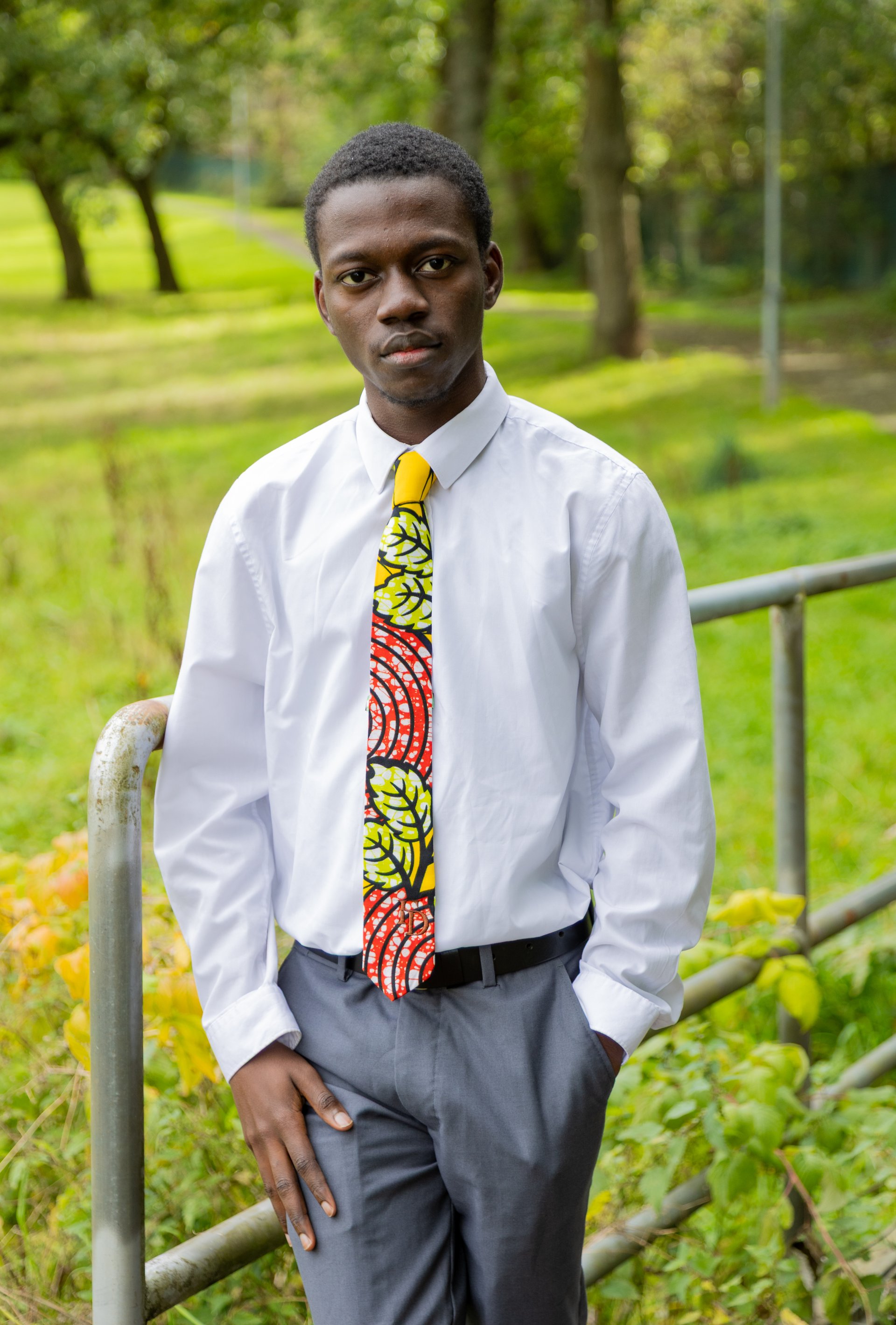 Patterned multicolored print image 2