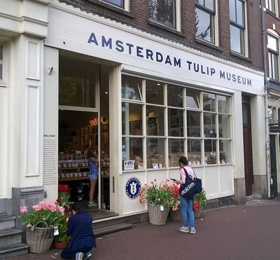 Tulip Museum