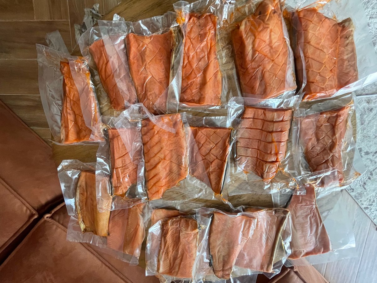 Frozen Salmon Fillets - Vacuum Packed