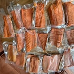 Frozen Salmon Fillets - Vacuum Packed