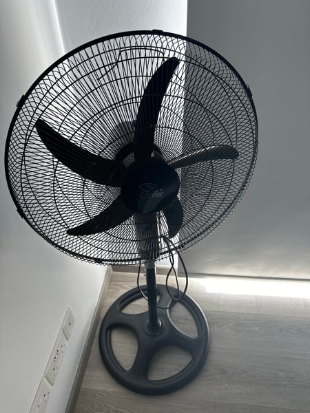 Standing Fan