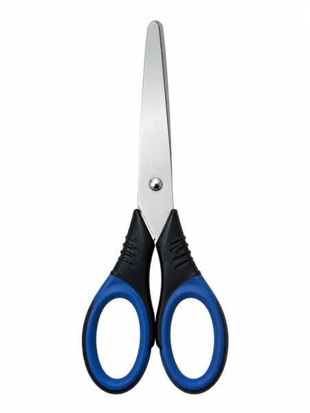 Stainless Steel Scissors