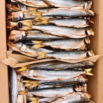 Frozen Salmon Fillets - Vacuum Packed
