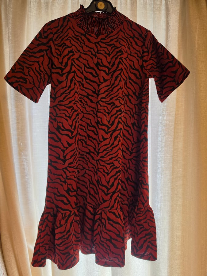 Zara Animal Zebra Print burnout velvet, size S, no tag but never worn 