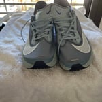 Nike Grey Trainers fly zoom 6