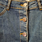 Denim Springfield Skirt