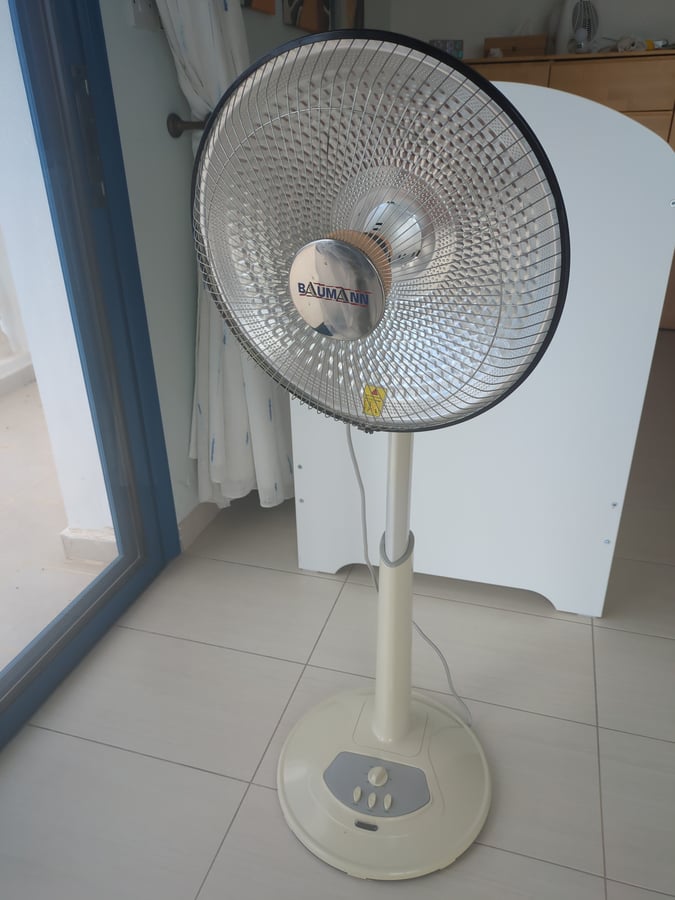 Baumann Electric Fan