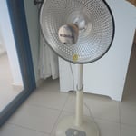 Baumann Electric Fan