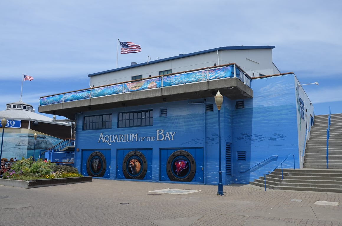 Aquarium of the Bay