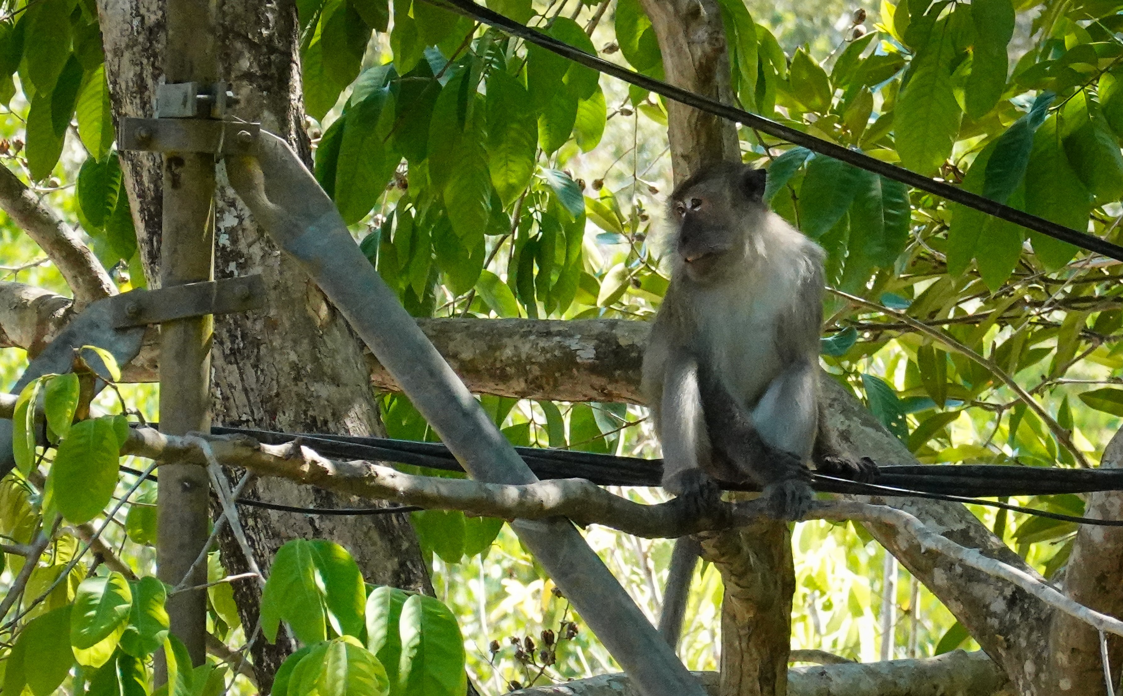 Langkawi Malaysia Jennidale