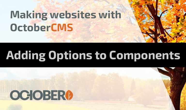 Adding Options to Components