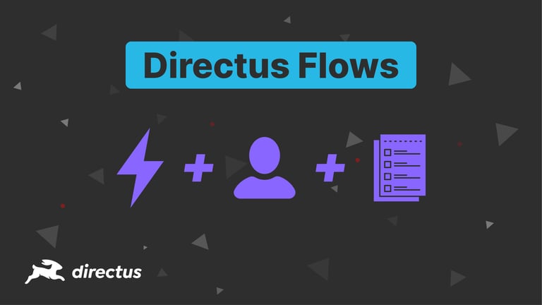 Create a Newsletter List With Directus Flows