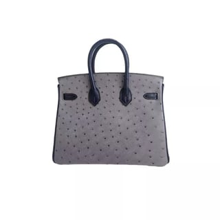 Siin - سين Hermes Birkin 25 Gris Agate/Blue Iris Ostrich Leather Palladium Hardware Bag gallery