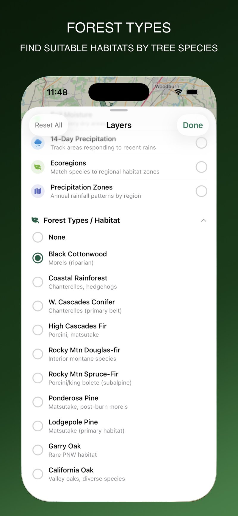 Forayz map displaying forest type and tree species layers across the Pacific Northwest