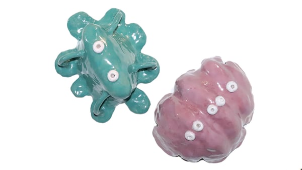 Le petit monde inconnue a travers mes yeux