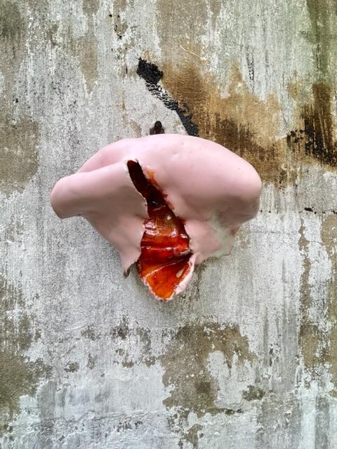 The End of Highlights