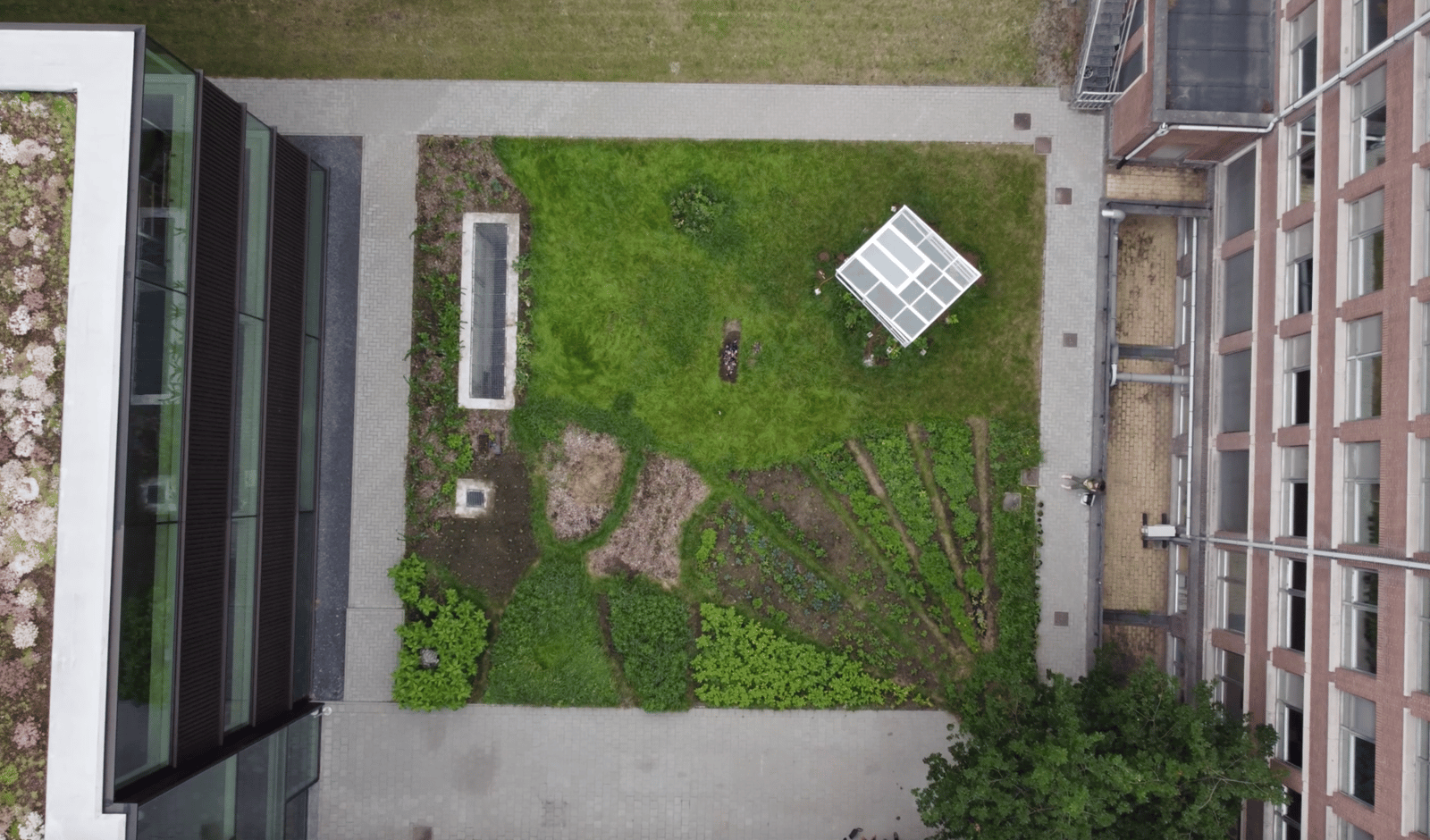 A curation of living stories