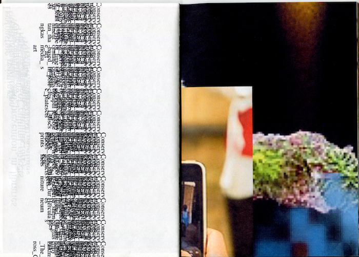 Reading, Browsing, Orderly Messing