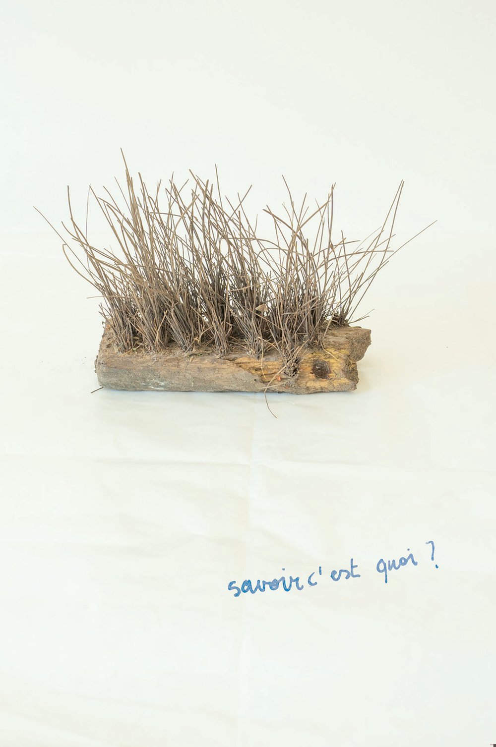 Tu Dois Faire Des Choses