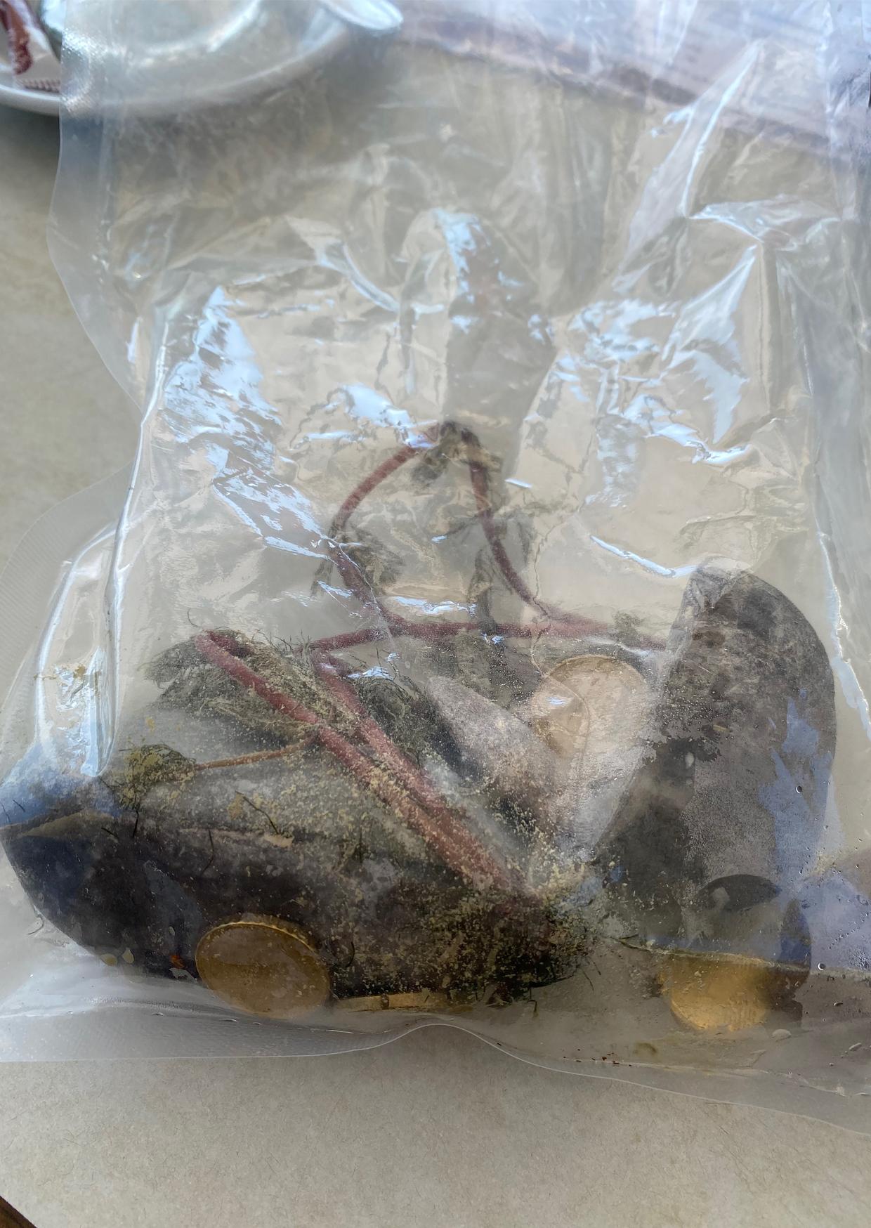 Venus transit (herald)  WIP whip smack