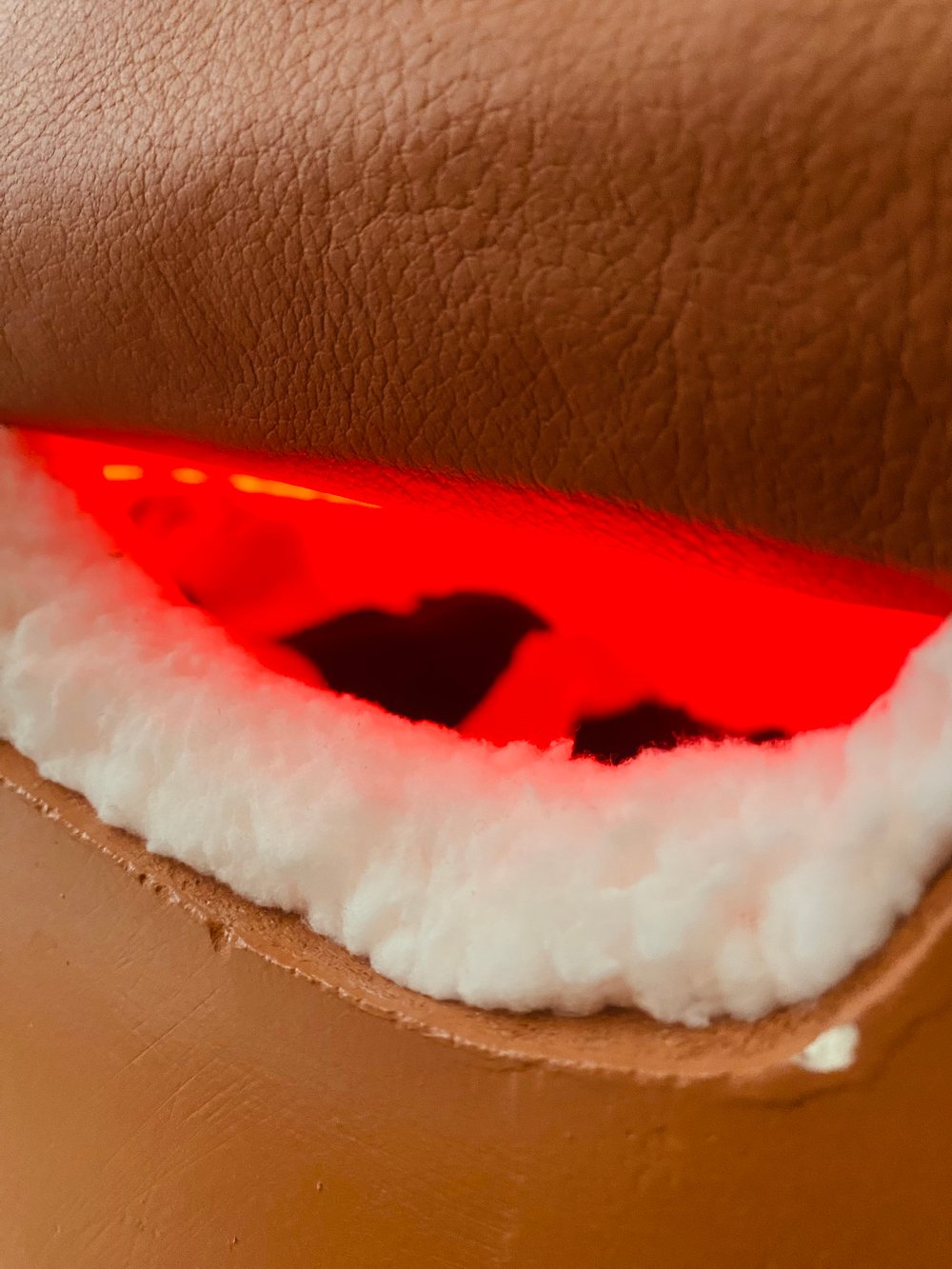 Journey of the Intercountrian