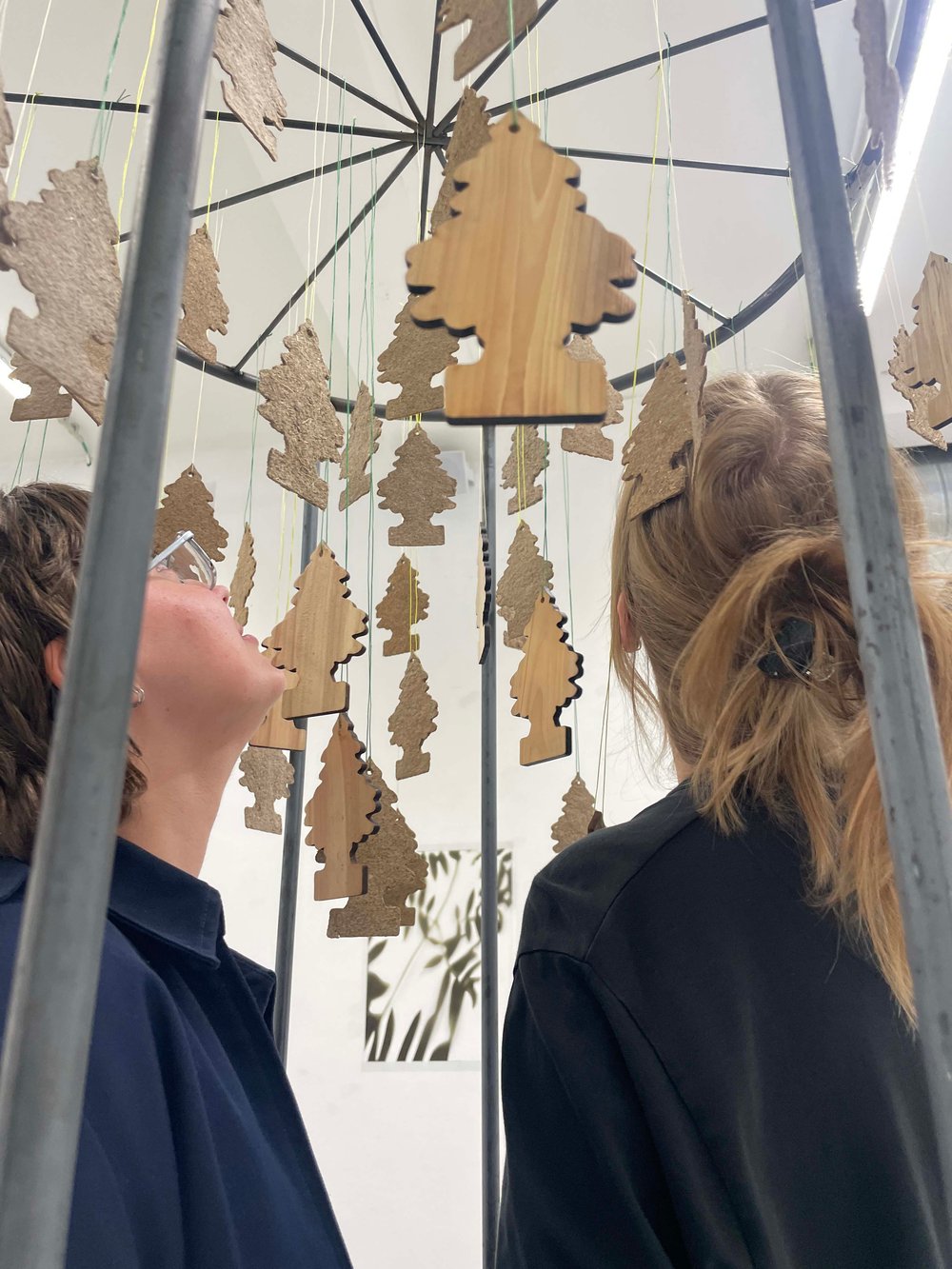 limited edition forest